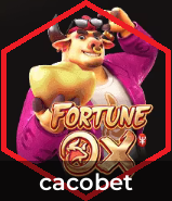 Cashback